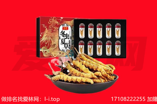 齐齐哈尔富拉尔基区回收虫草.jpg